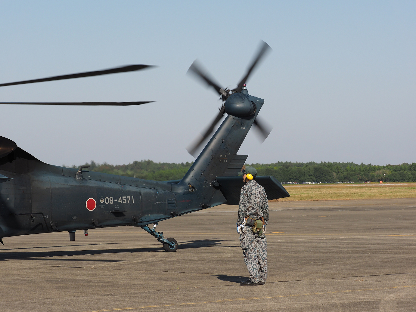 PA251108.jpg