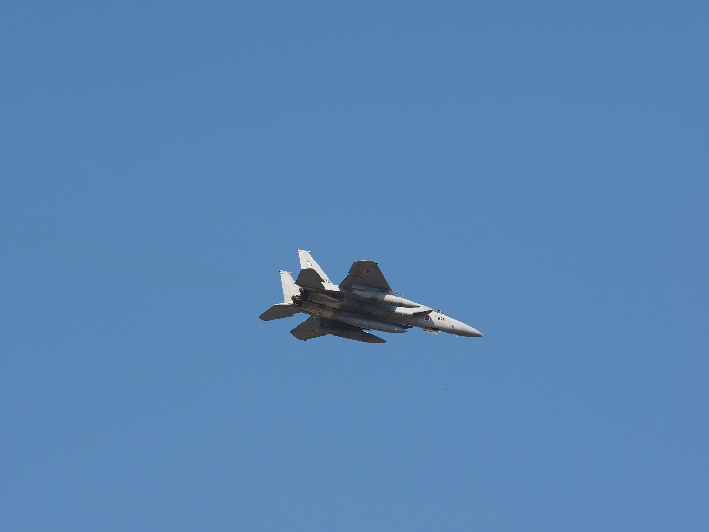 PA251119.jpg