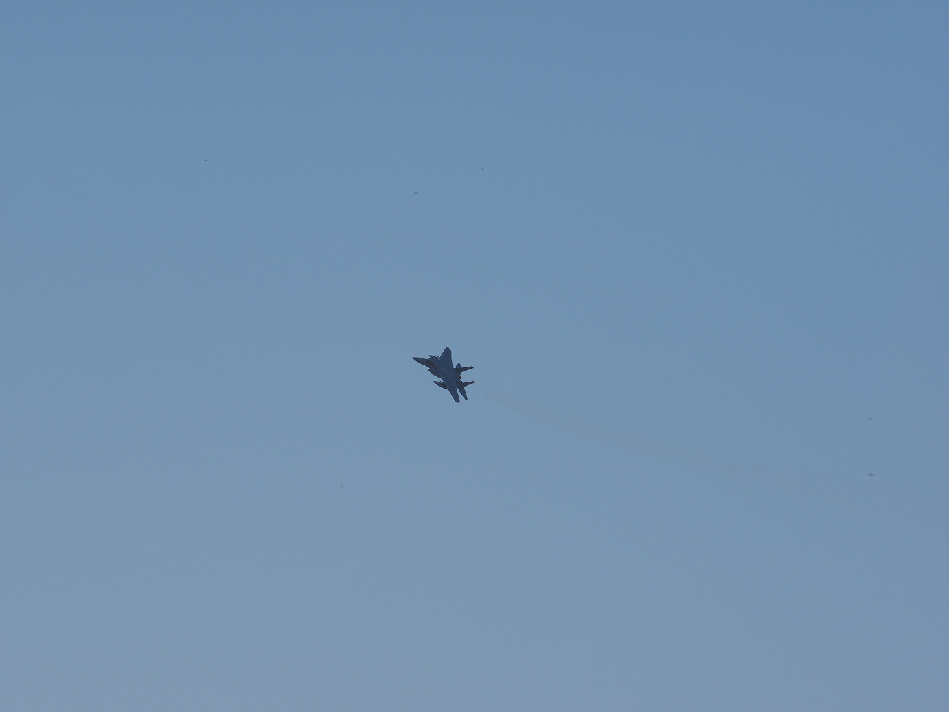 PA251138.jpg