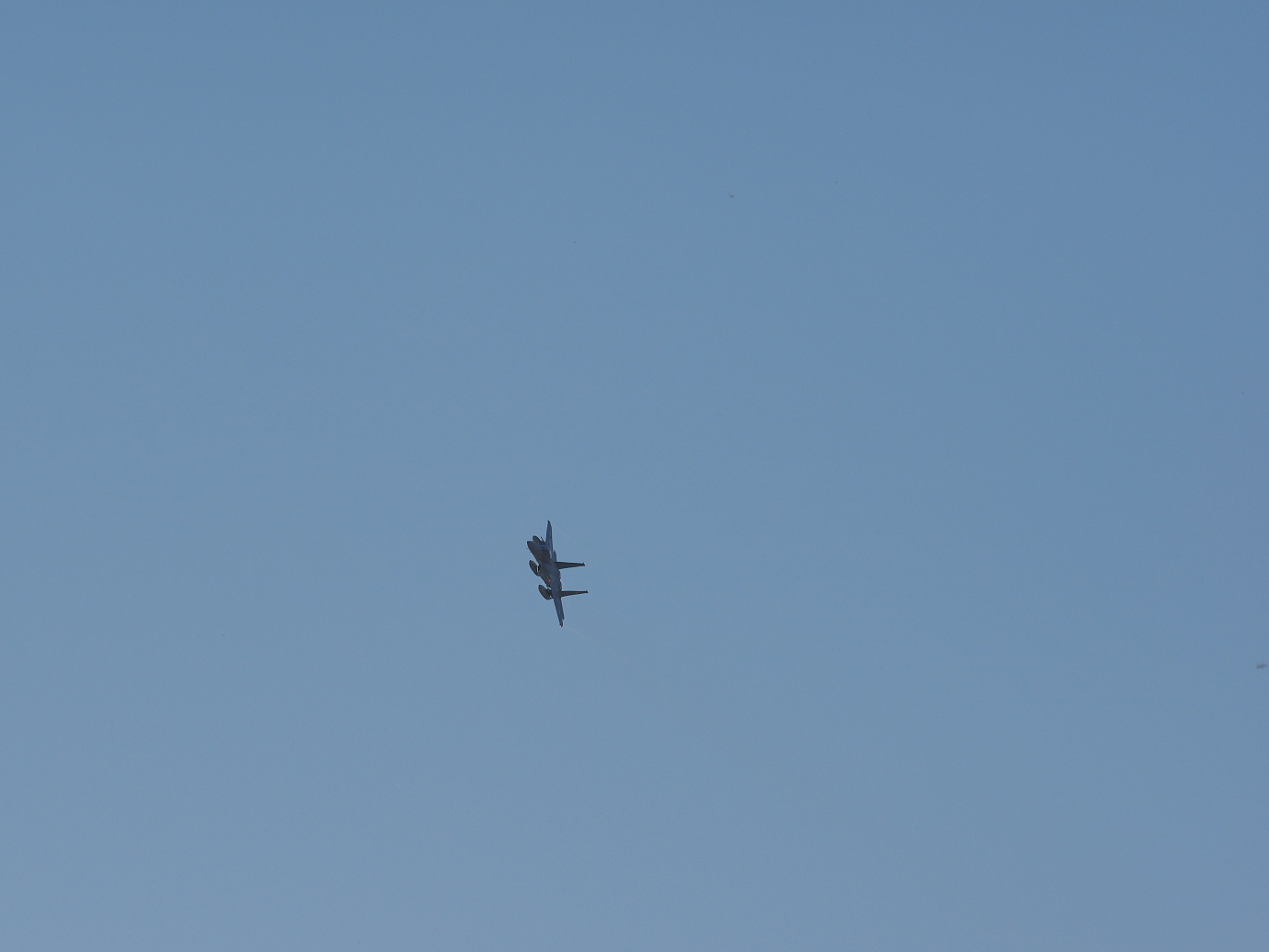 PA251141.jpg