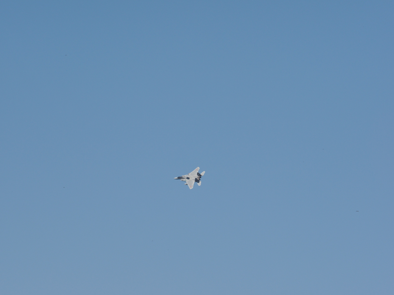 PA251152.jpg