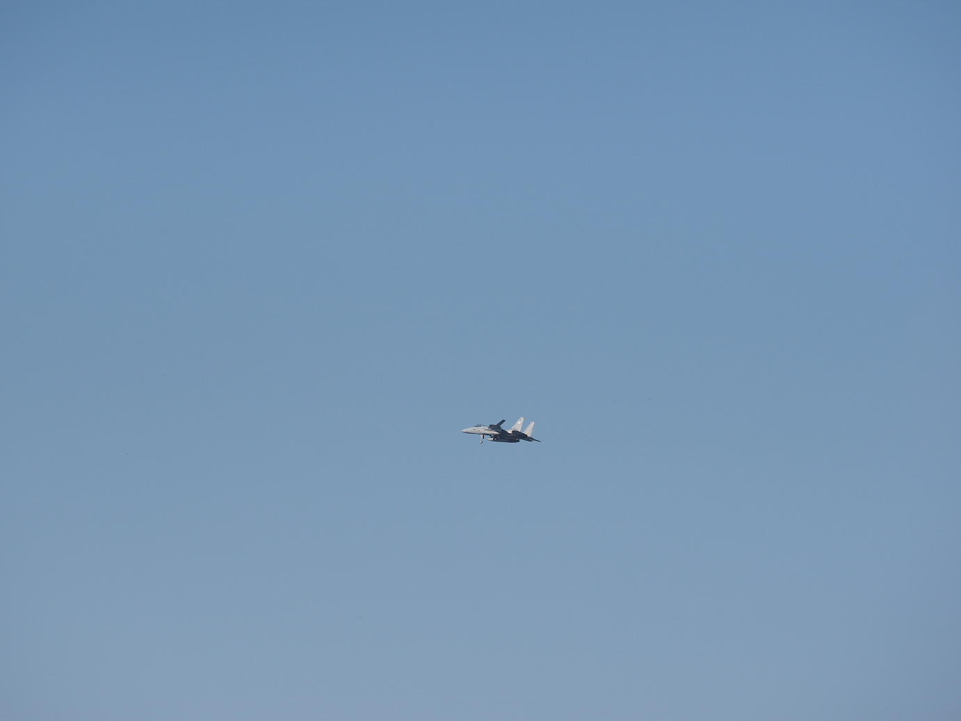 PA251207.jpg
