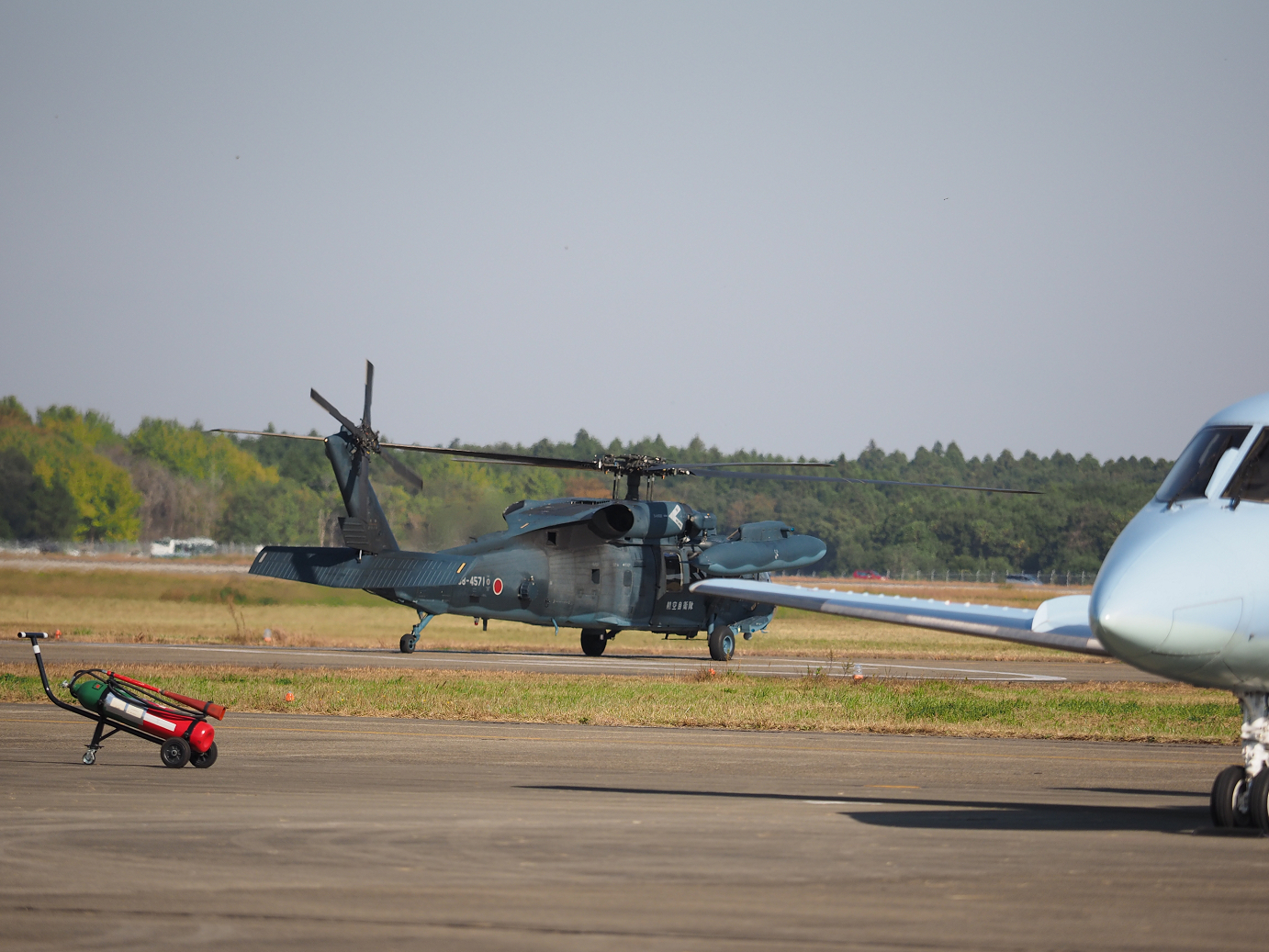 PA251219.jpg