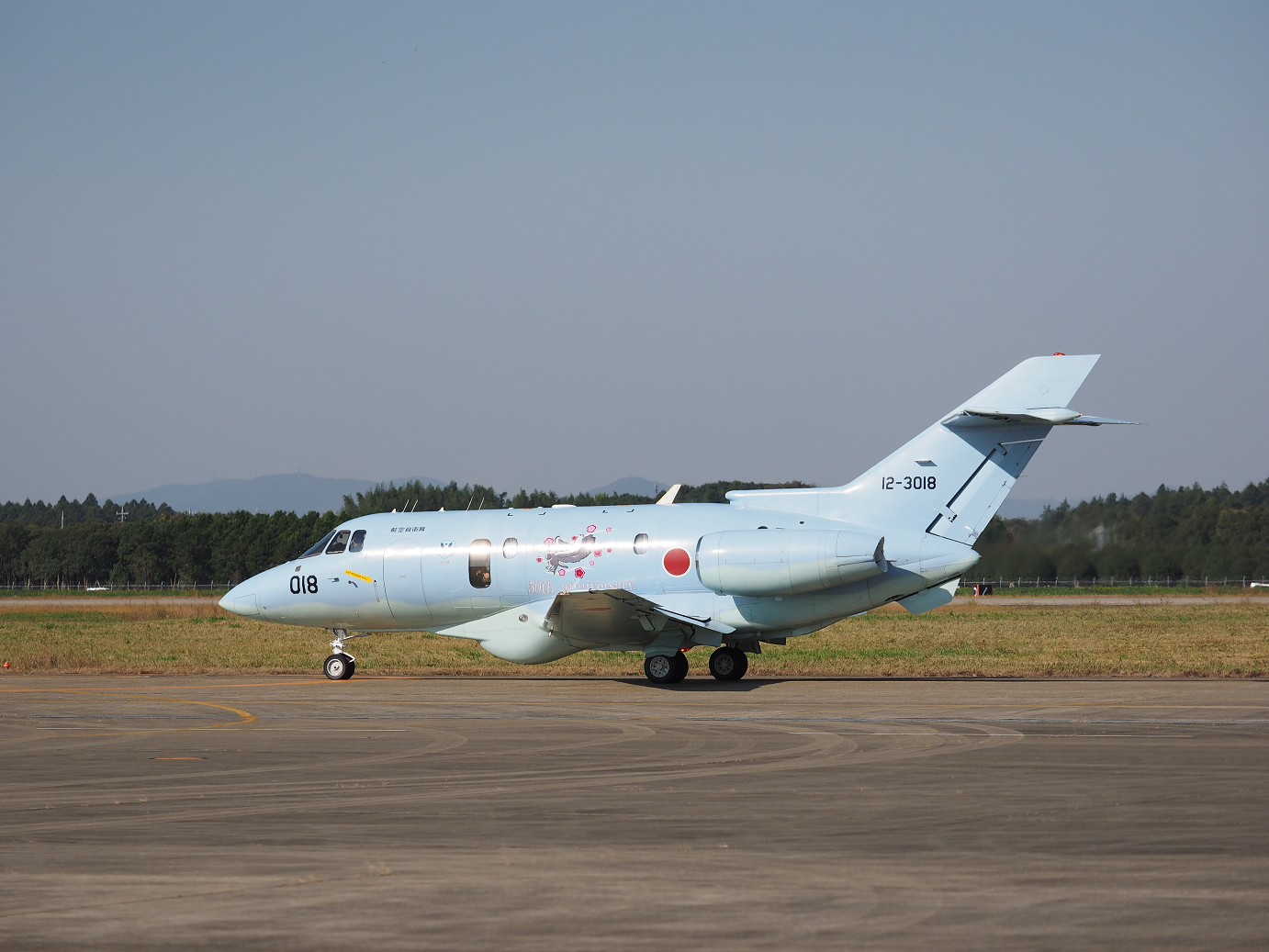 PA251270.jpg