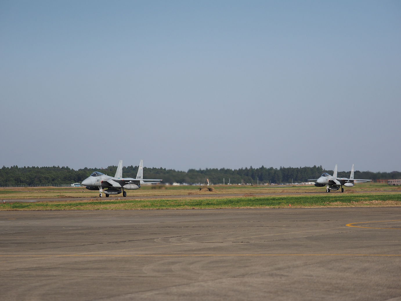 PA251354.jpg