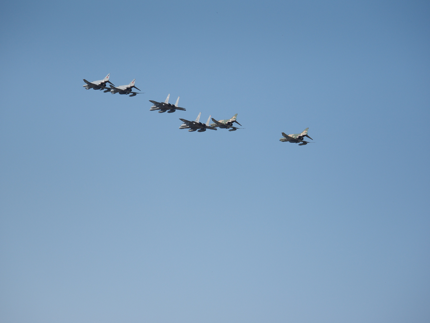 PA251441.jpg