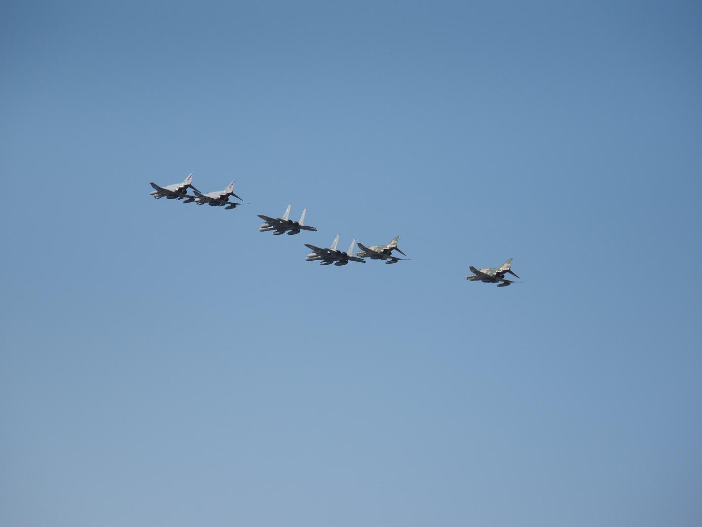 PA251442.jpg