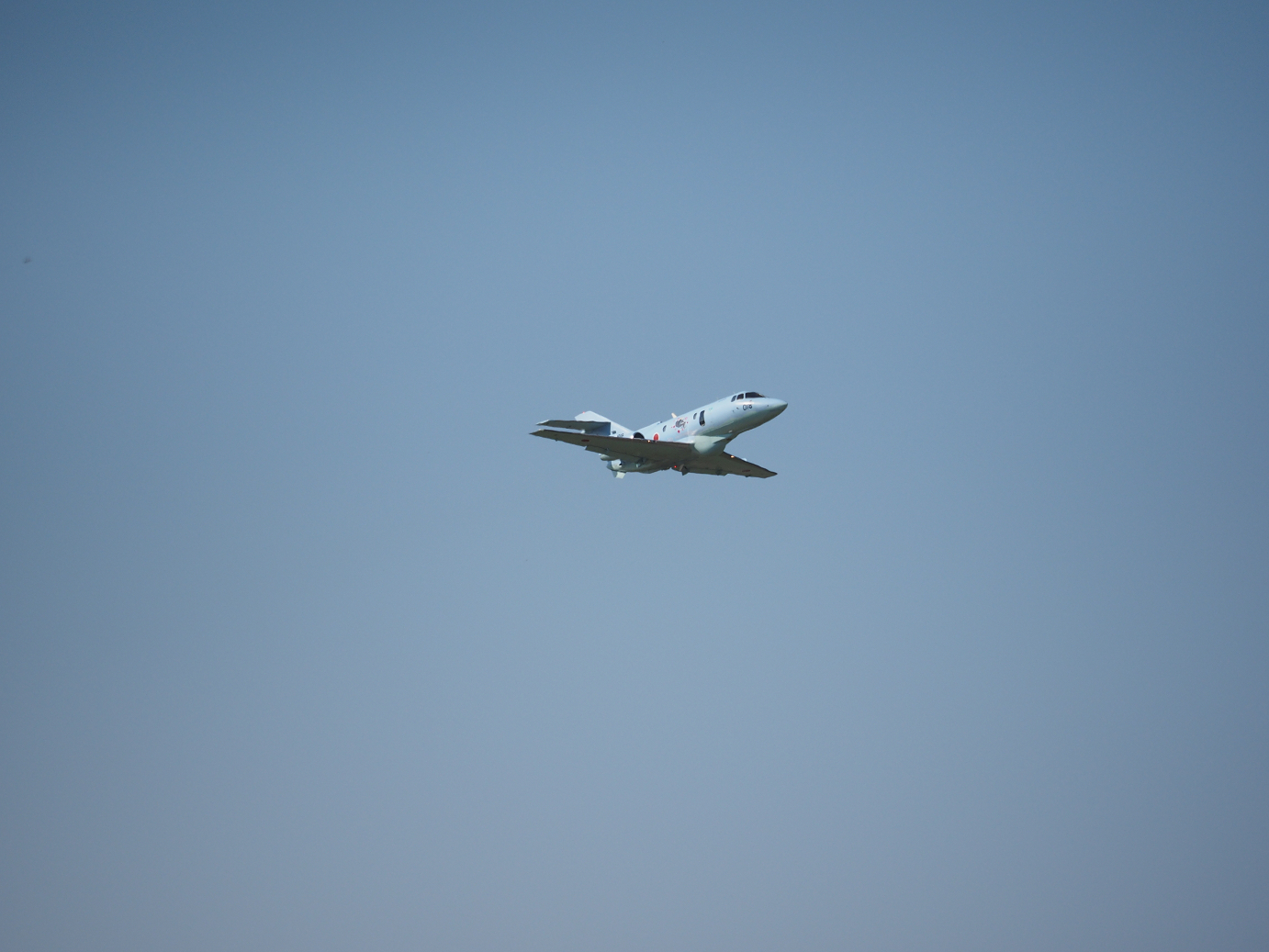 PA251452.jpg