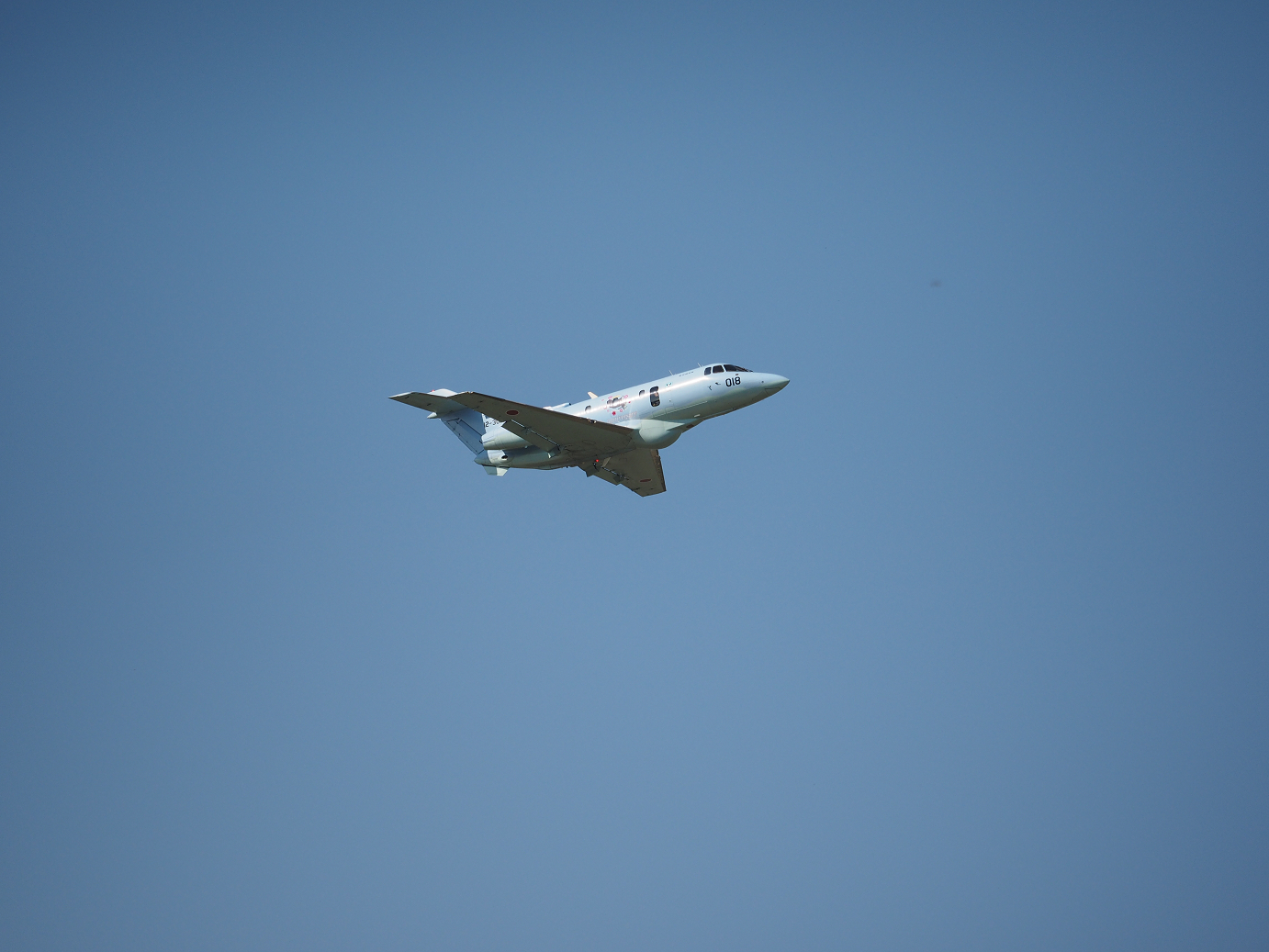 PA251456.jpg