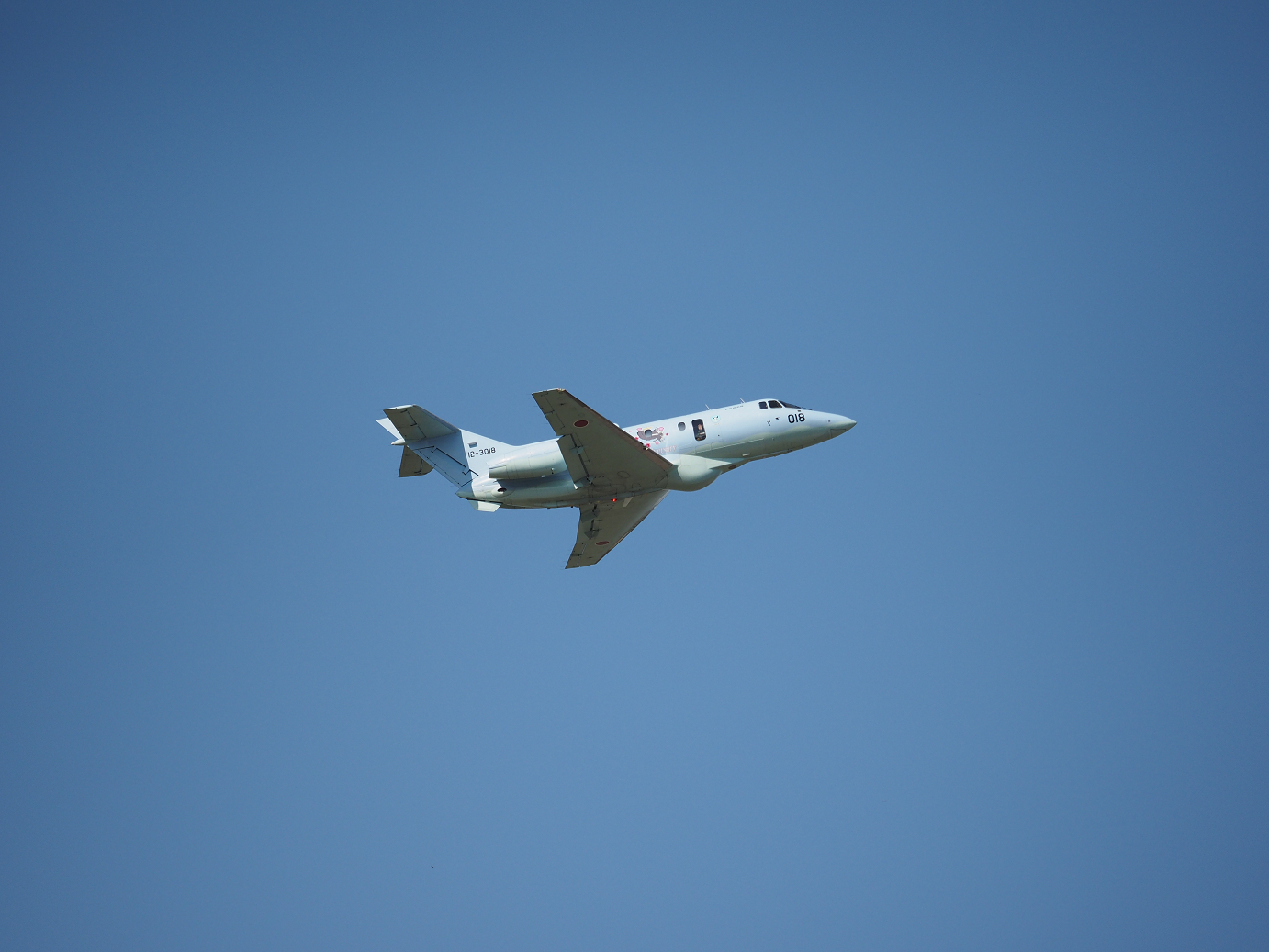 PA251461.jpg
