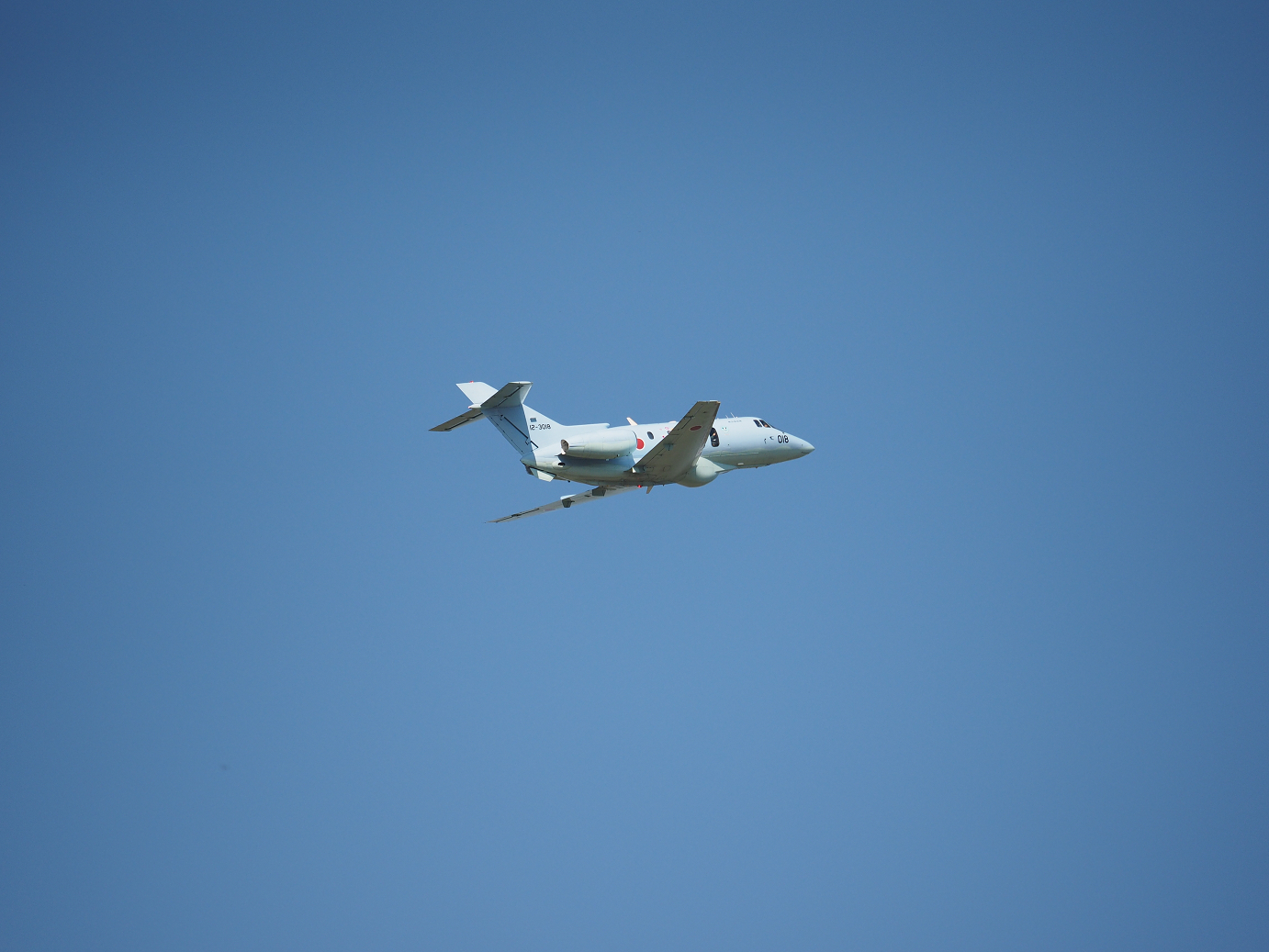 PA251466.jpg