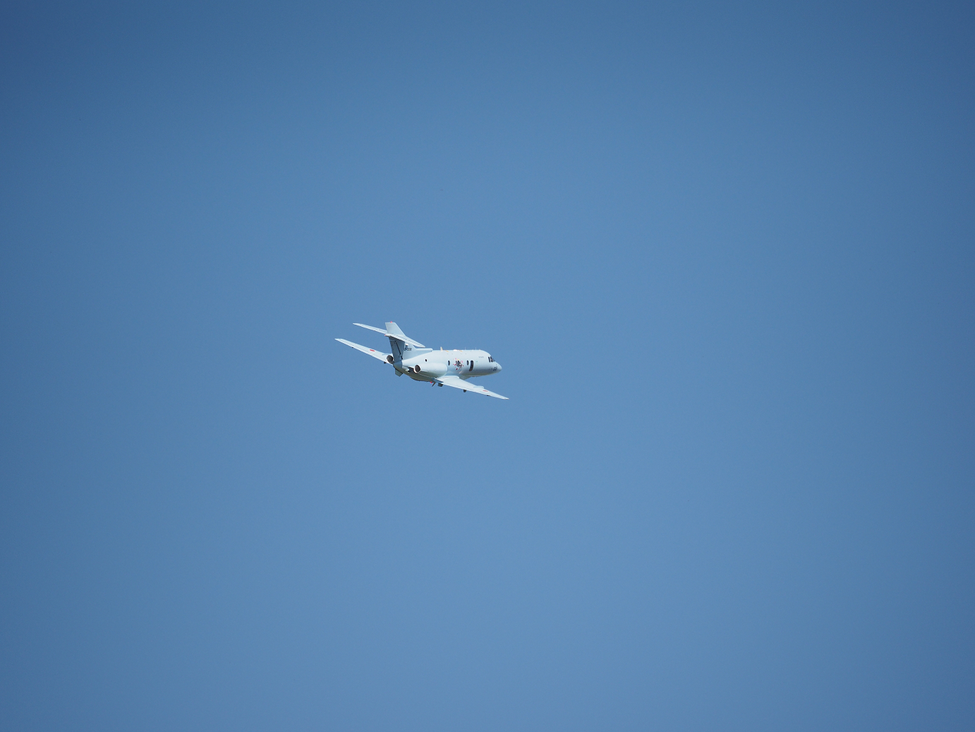 PA251471.jpg
