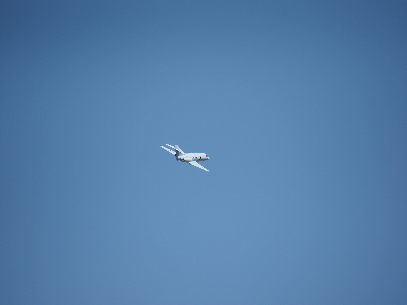 PA251475.jpg