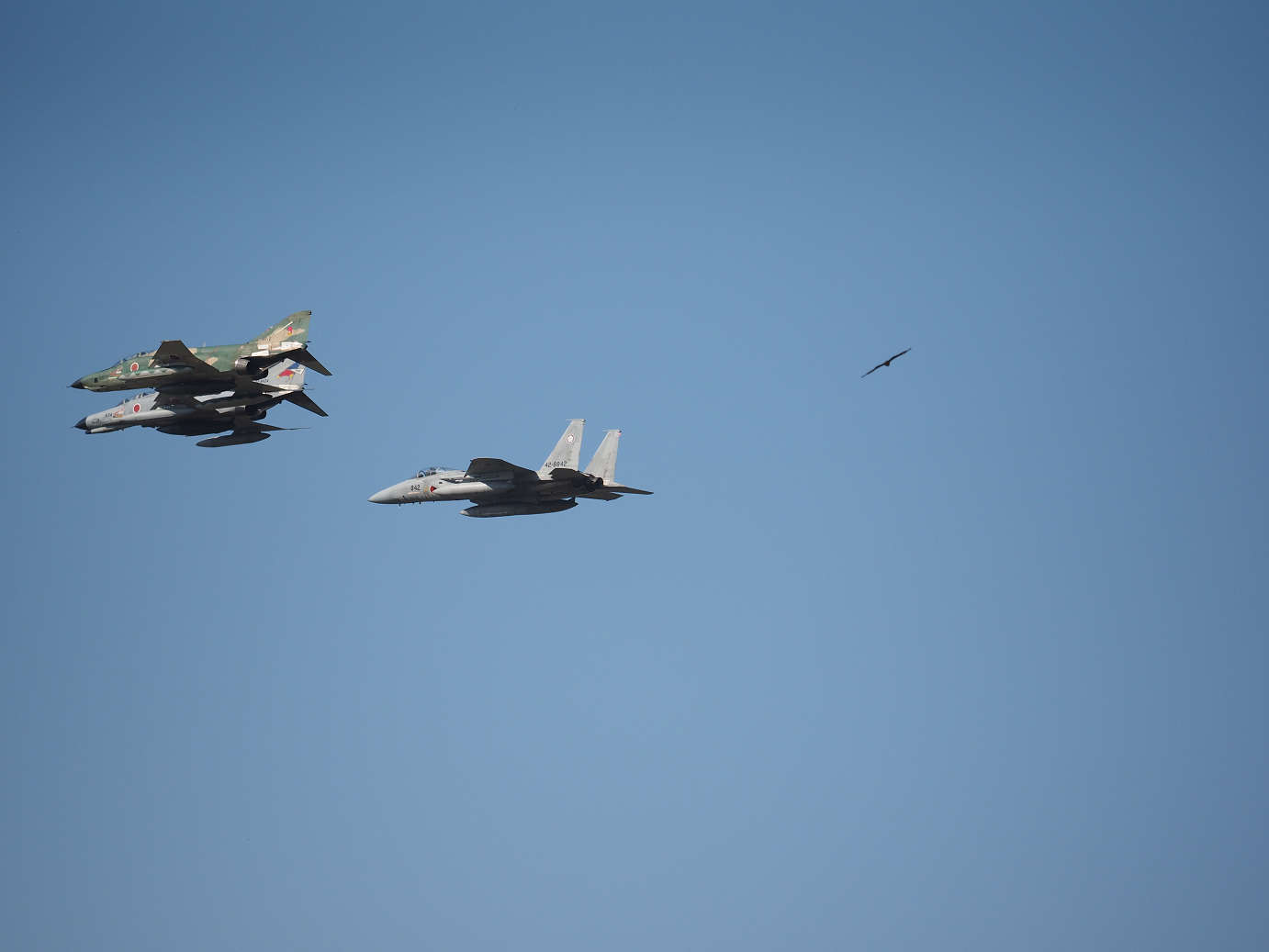 PA251547.jpg