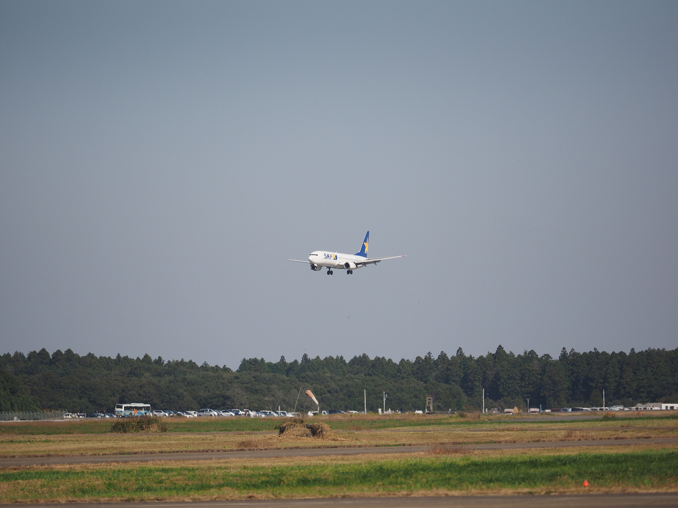 PA251555.jpg