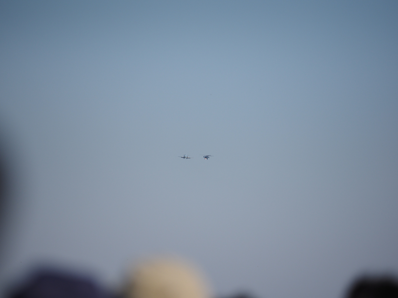 PA251588.jpg
