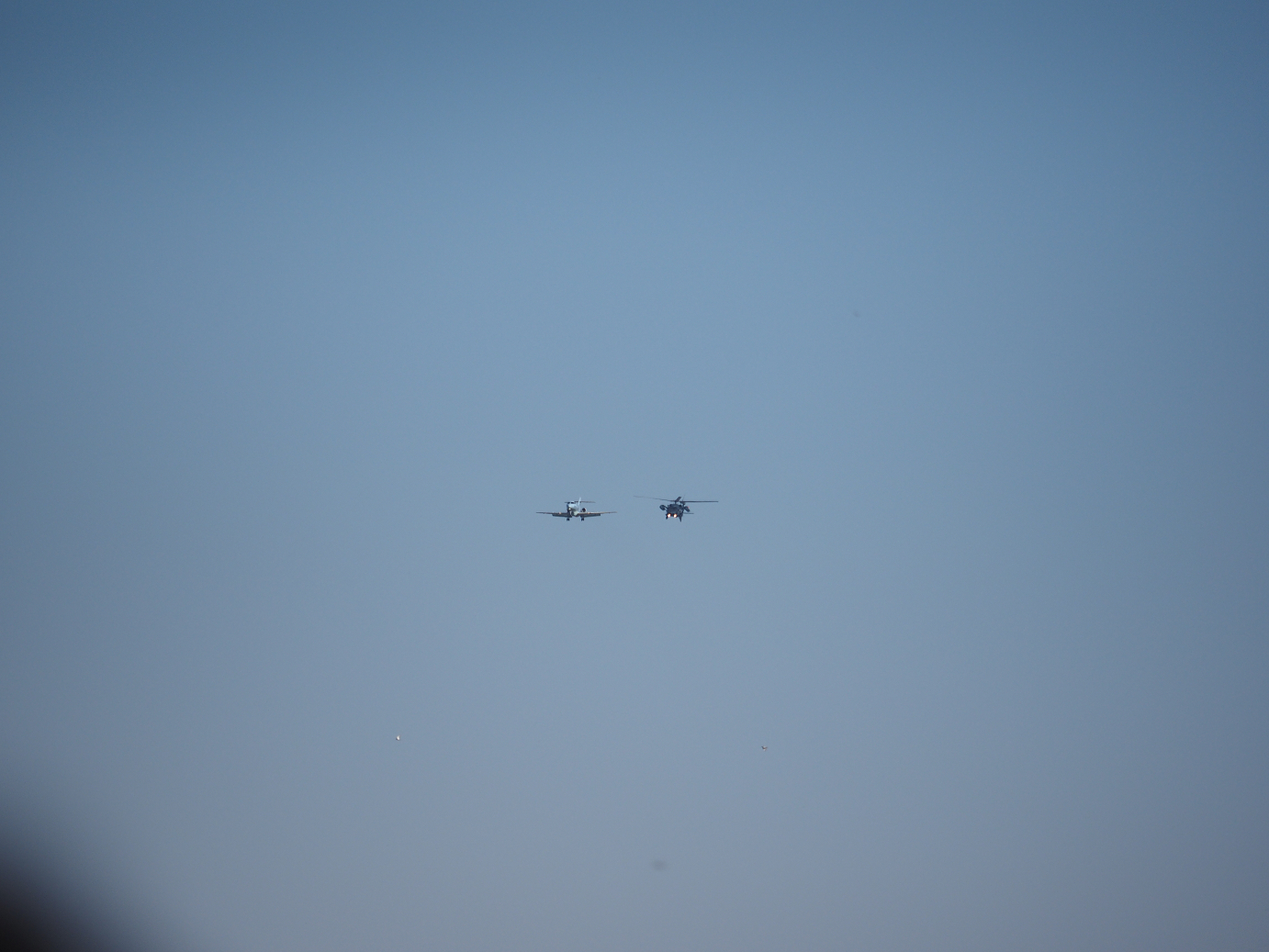PA251597.jpg