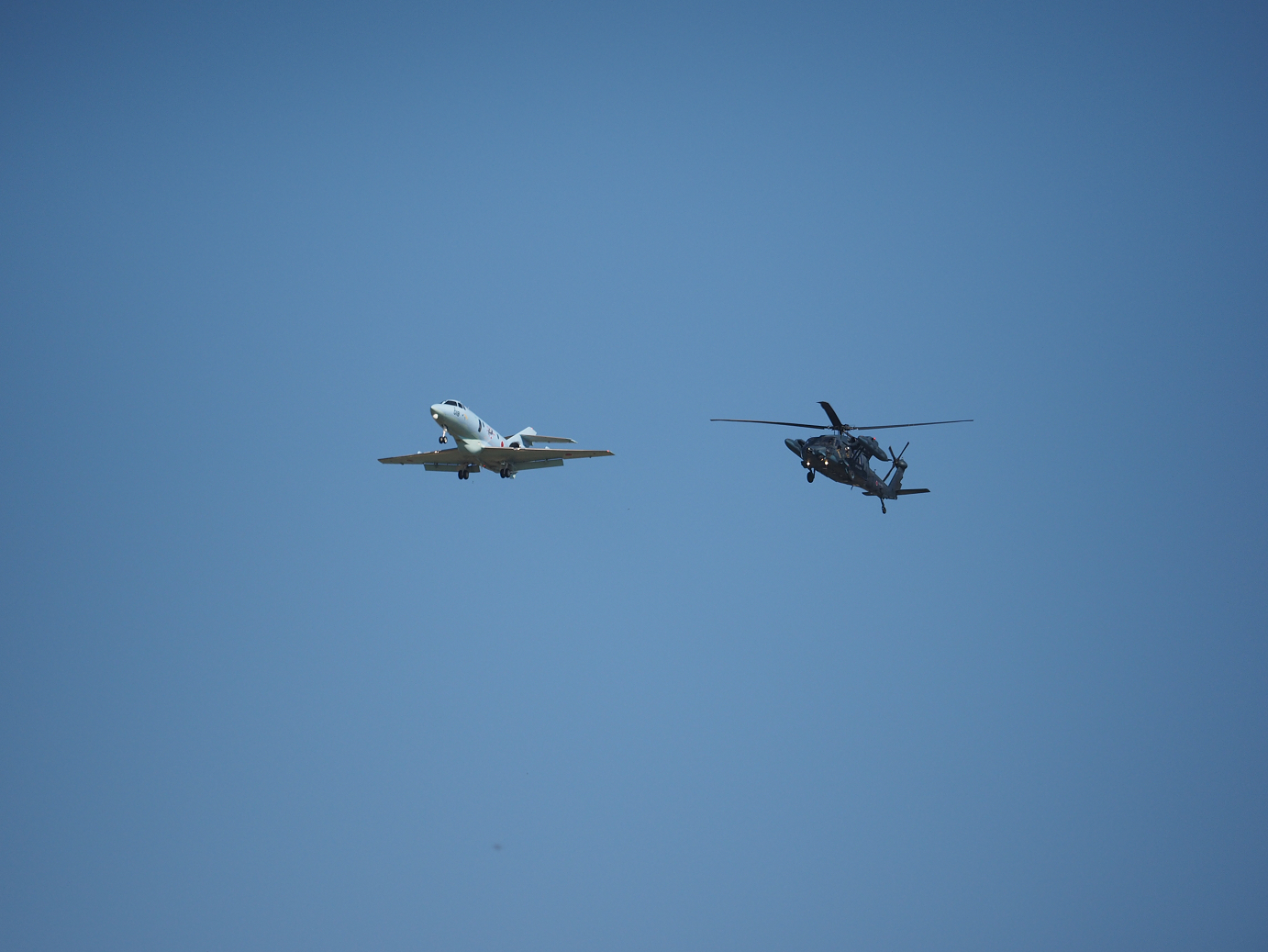 PA251610.jpg