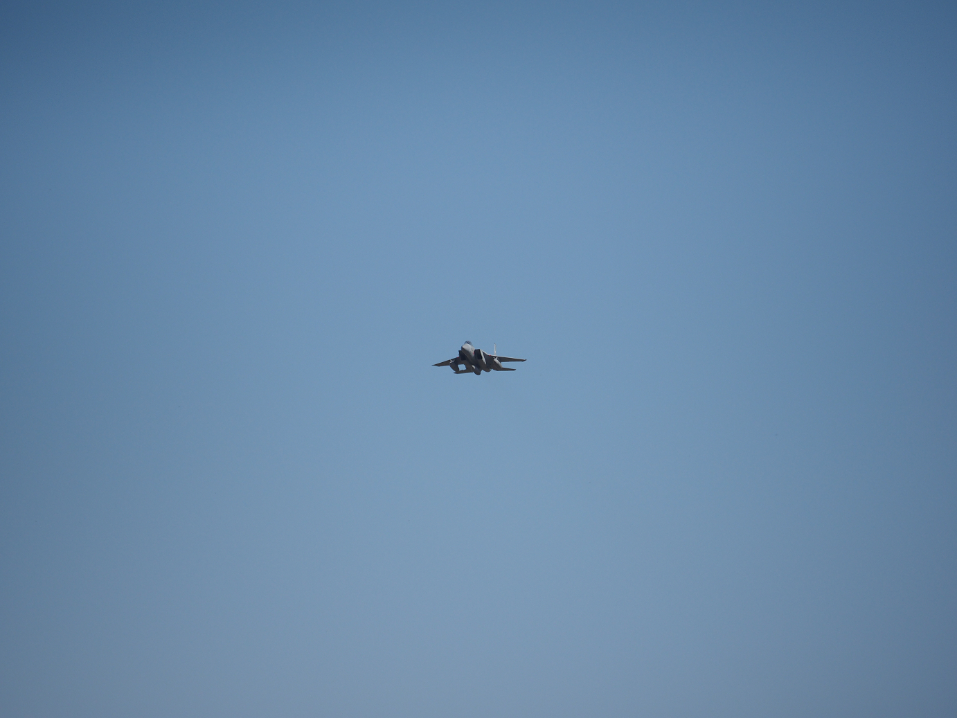 PA251630.jpg