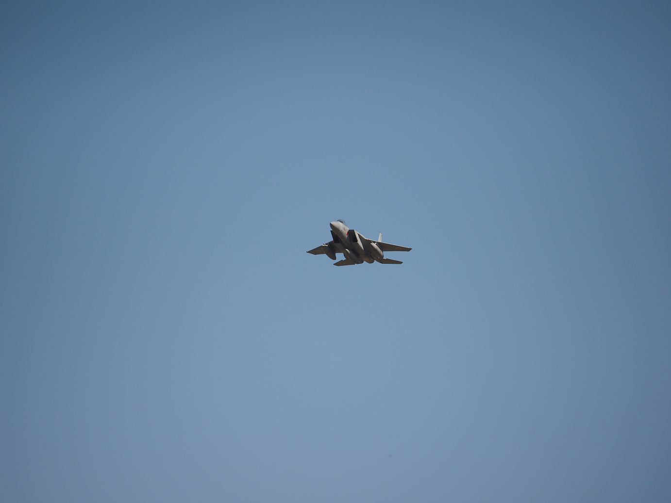 PA251632.jpg