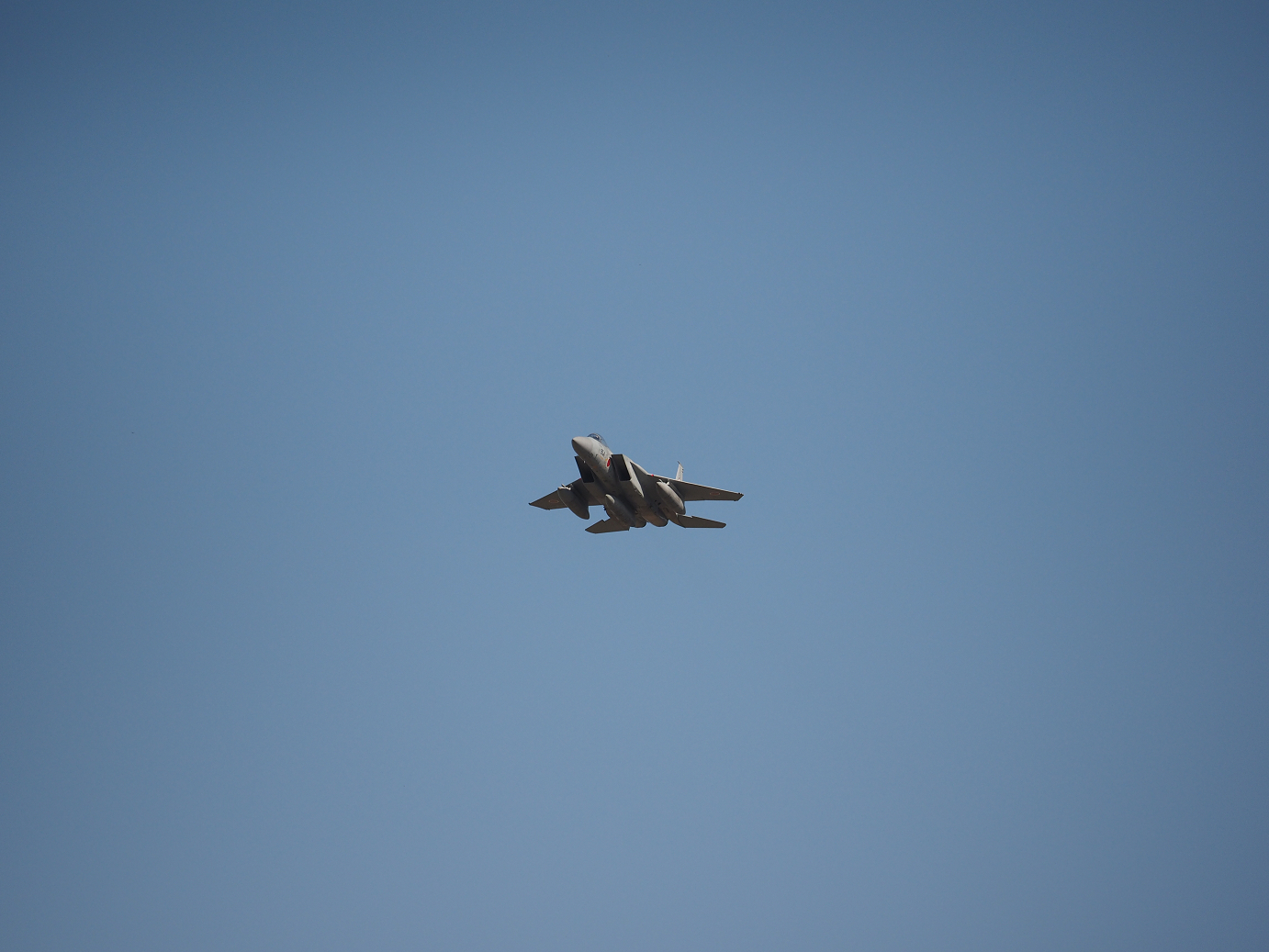 PA251635.jpg
