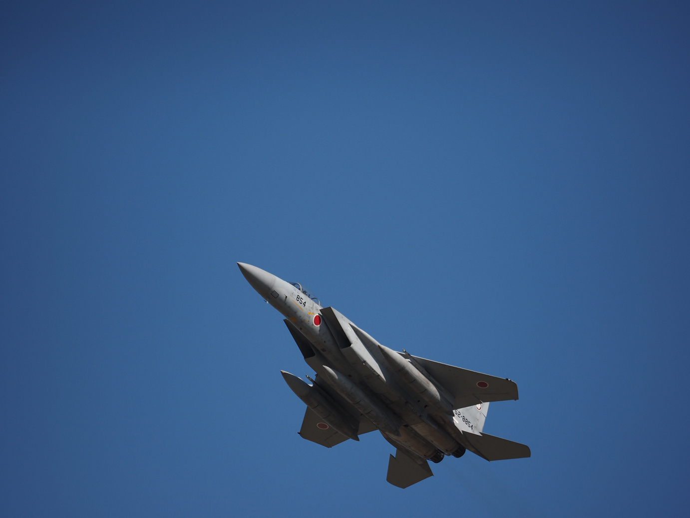 PA251646.jpg