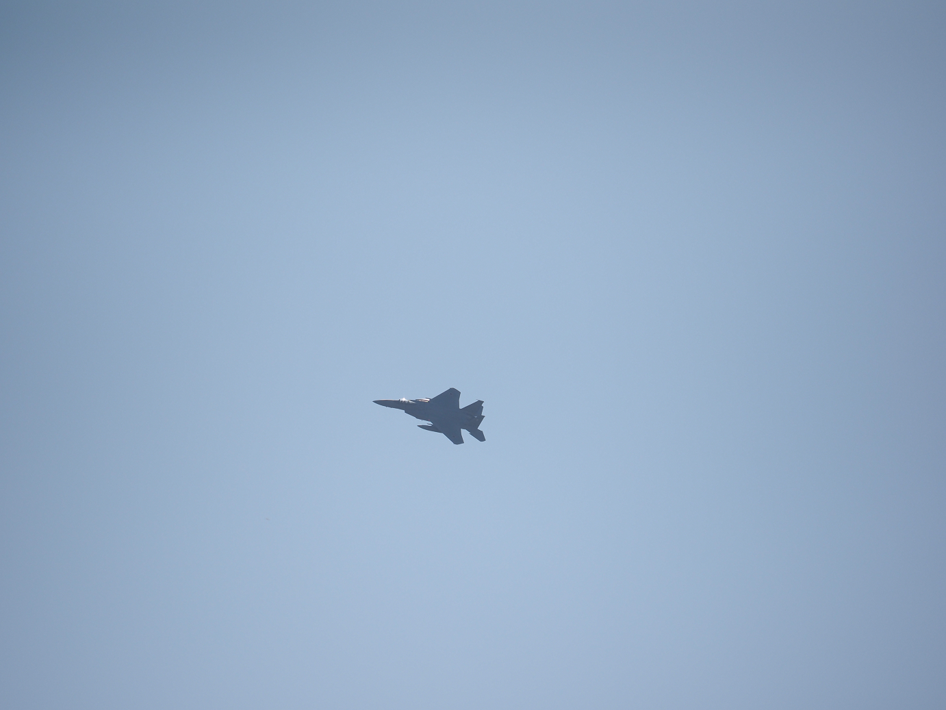 PA251651.jpg