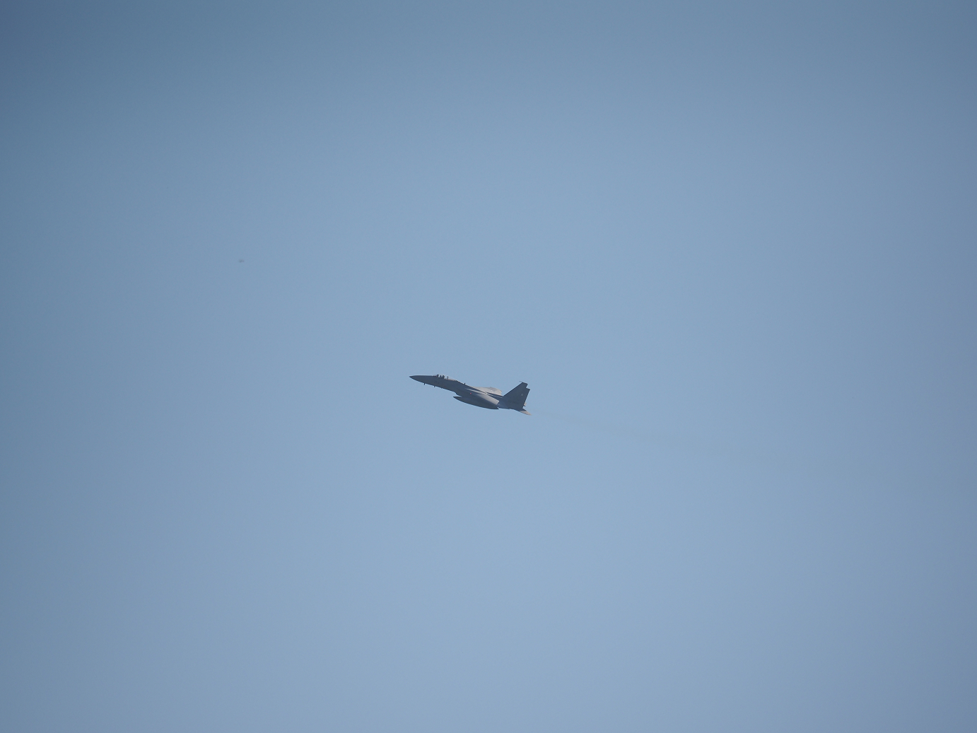 PA251655.jpg