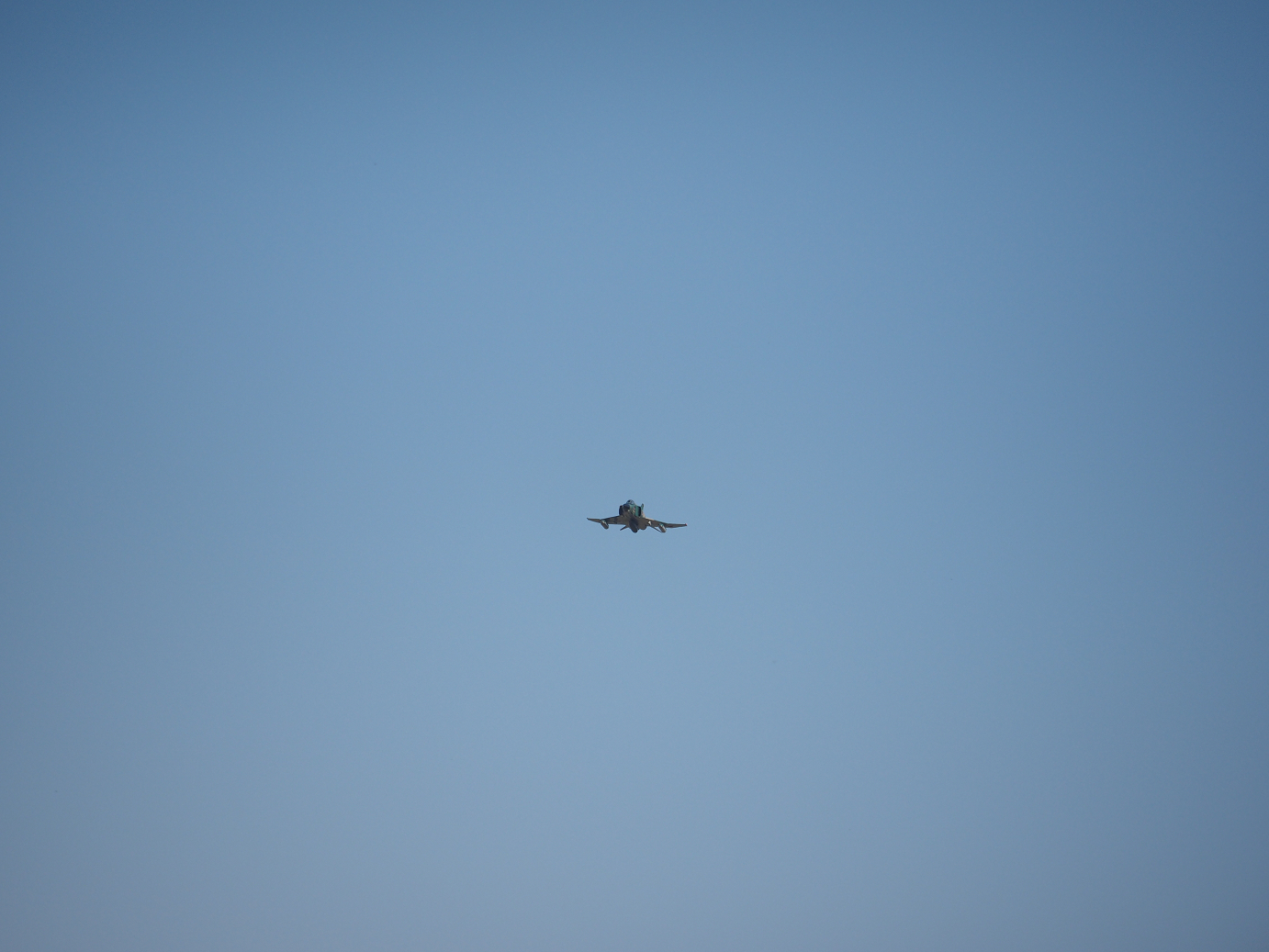 PA251667.jpg