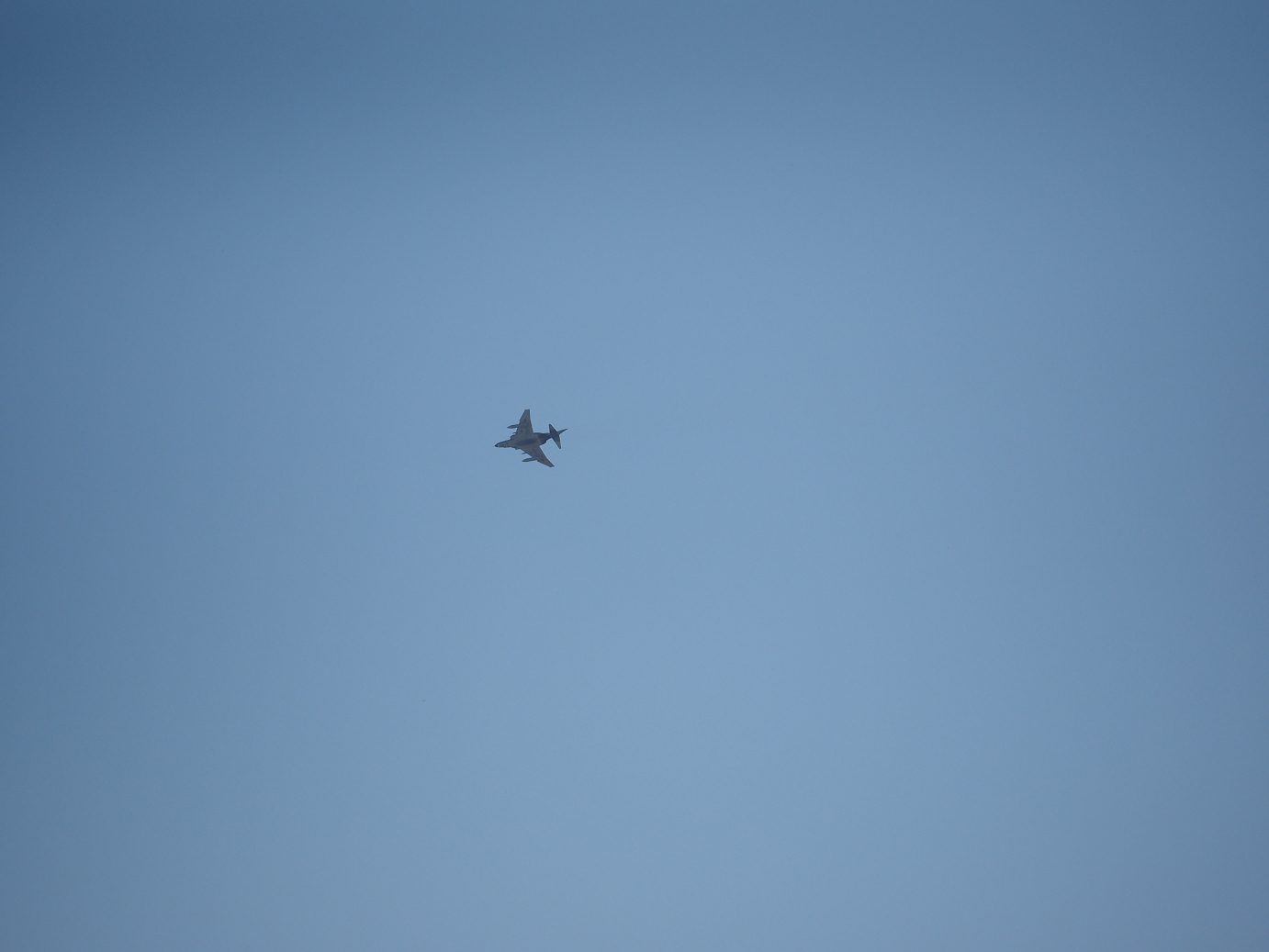 PA251691.jpg