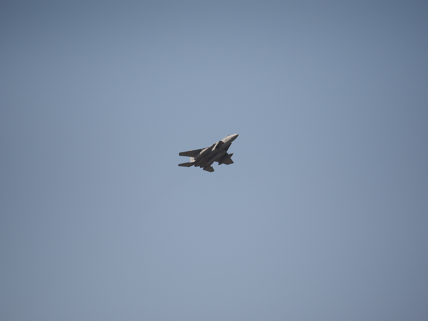 PA251692.jpg