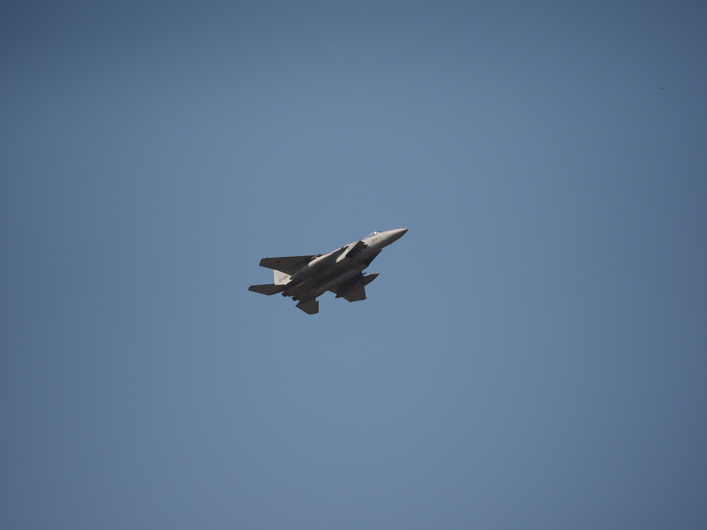 PA251697.jpg