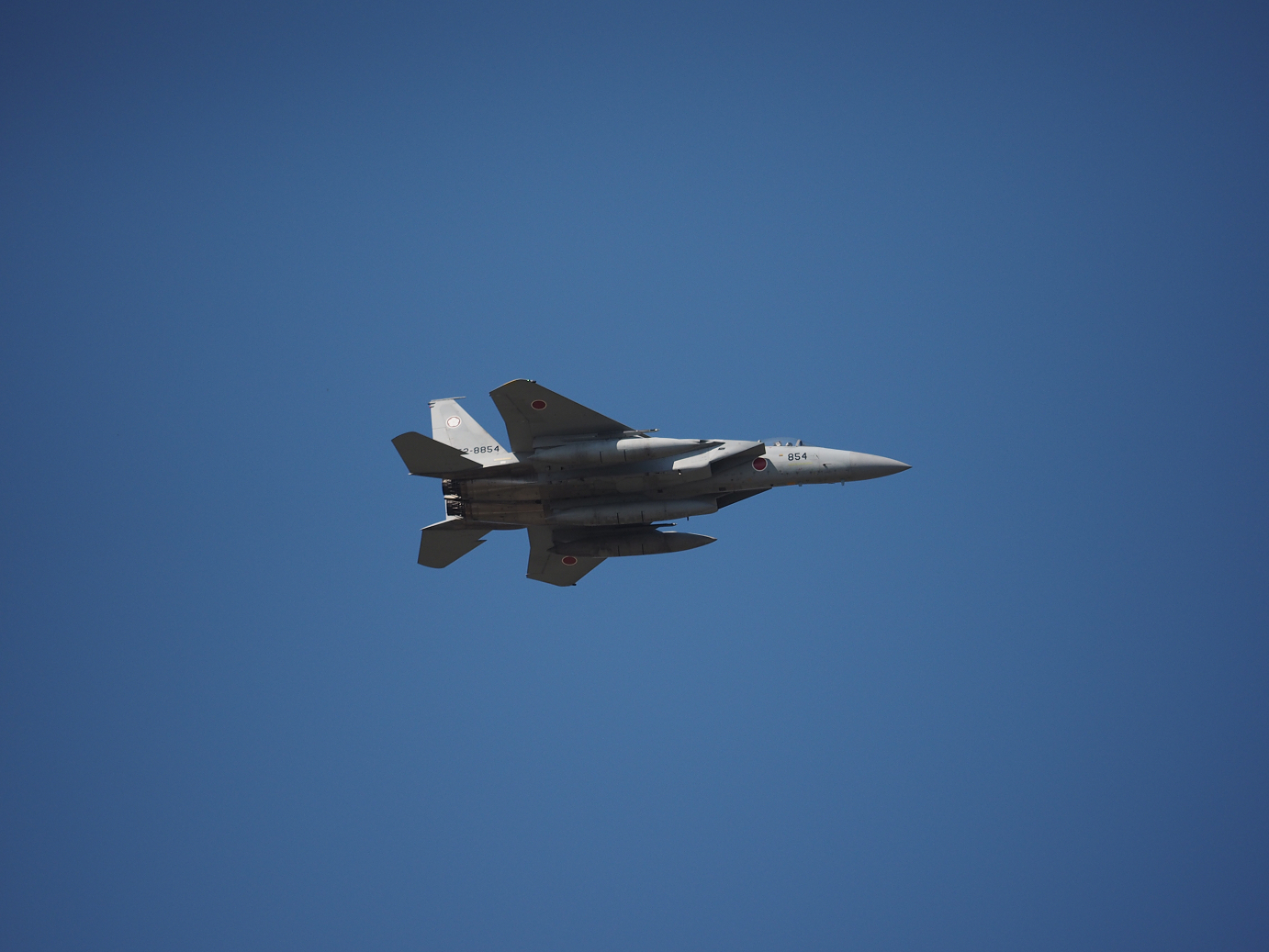 PA251699.jpg