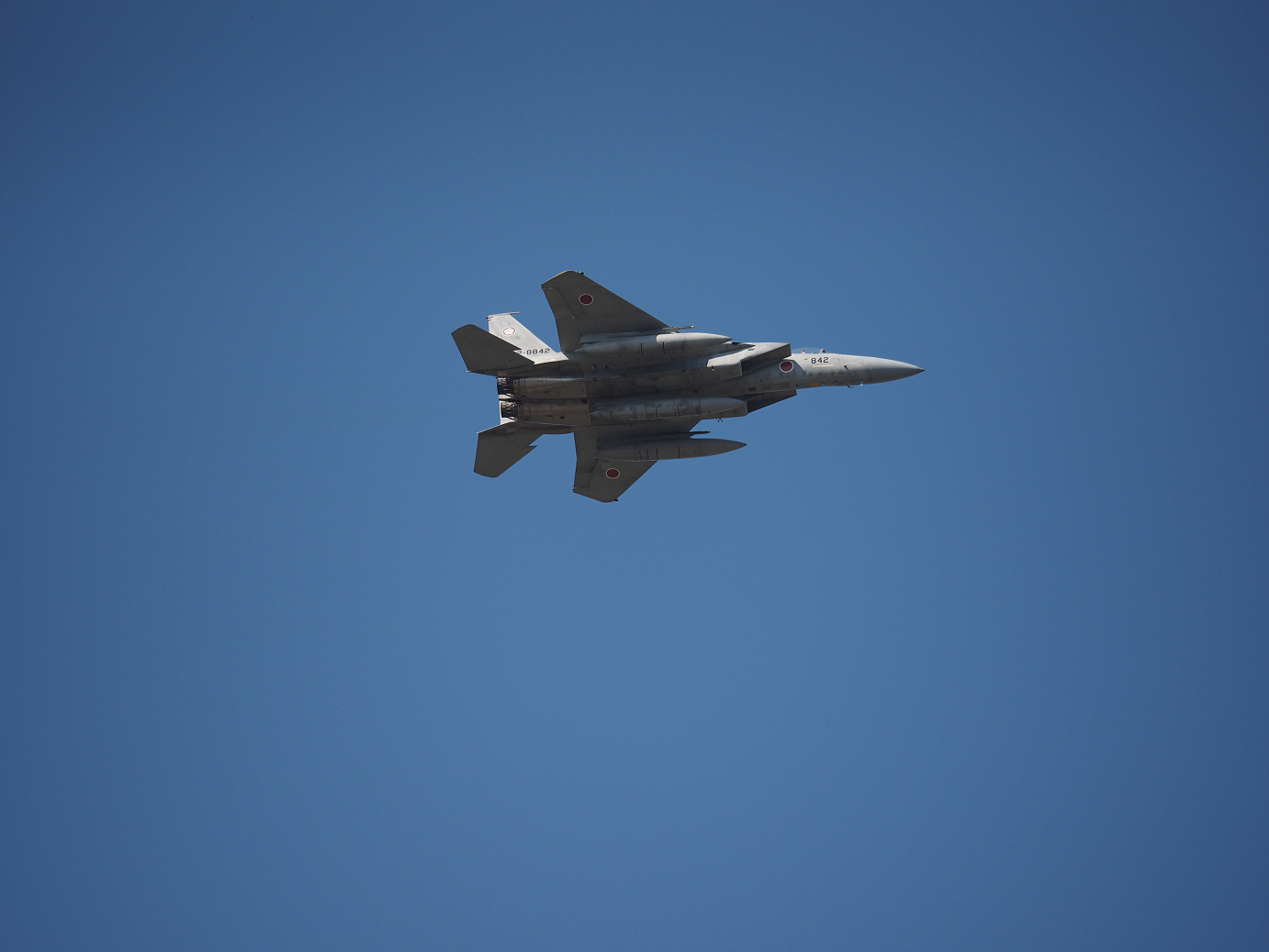 PA251708.jpg