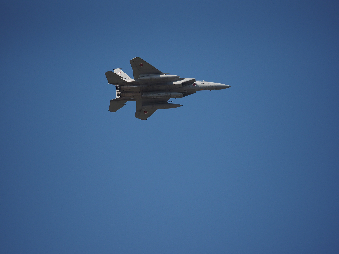 PA251709.jpg