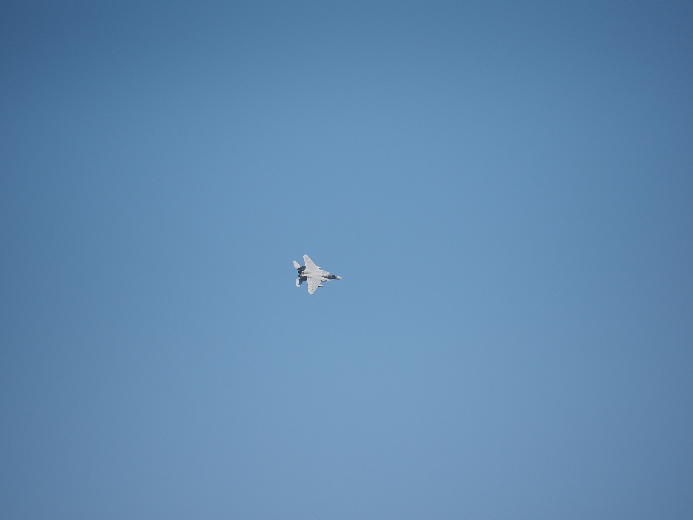 PA251716.jpg