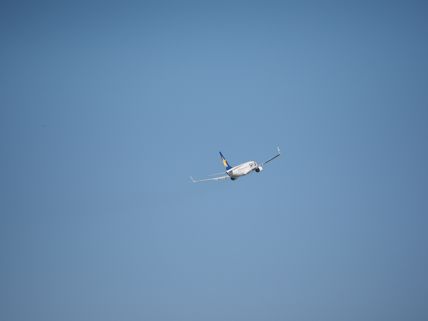 PA251720.jpg