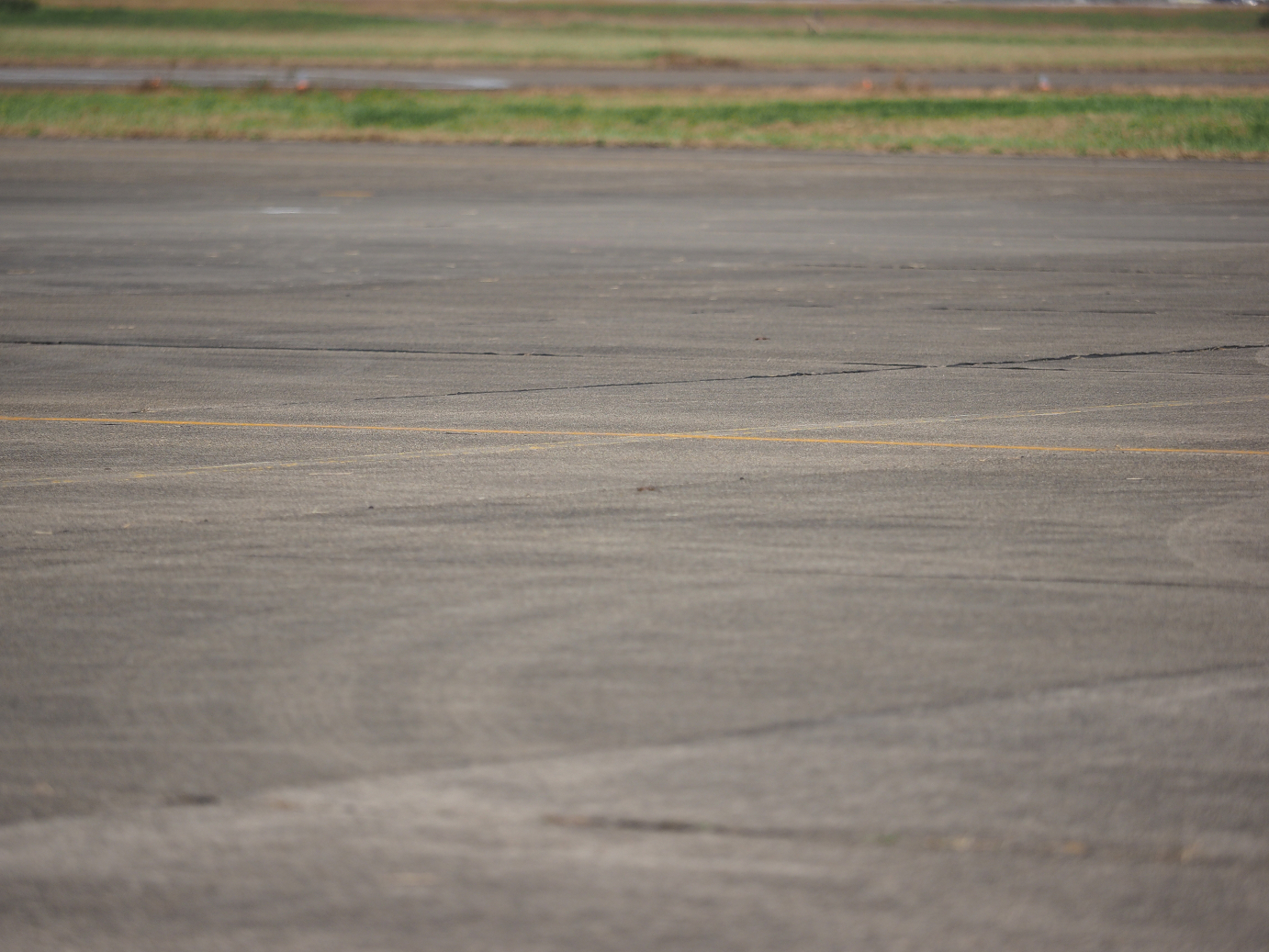 PA251889.jpg