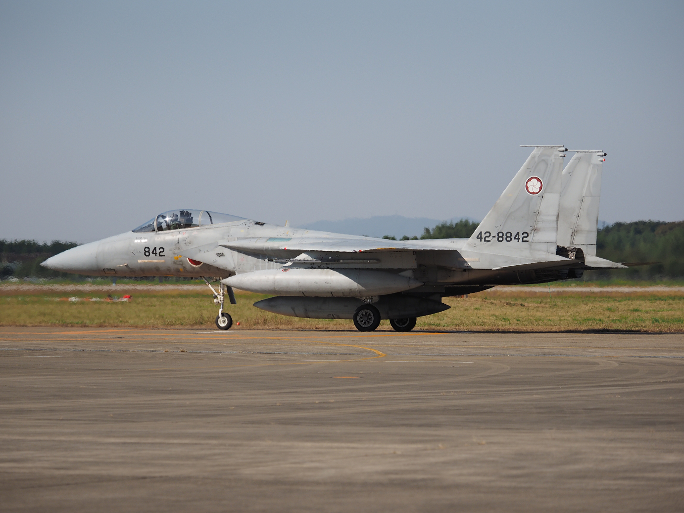 PA251956.jpg