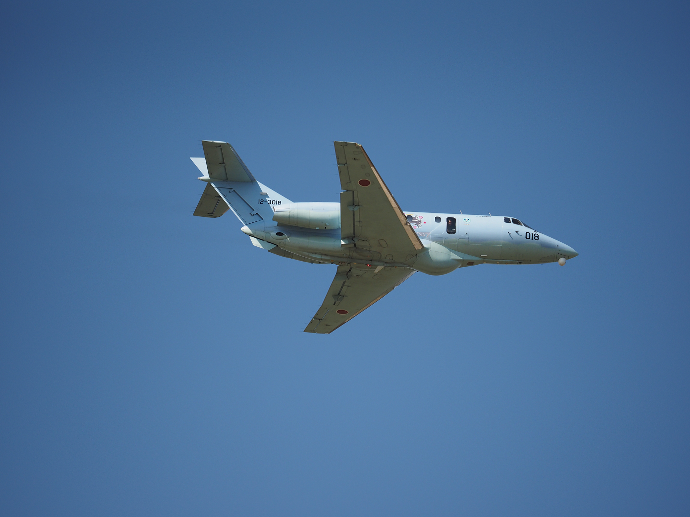 PA252024.jpg