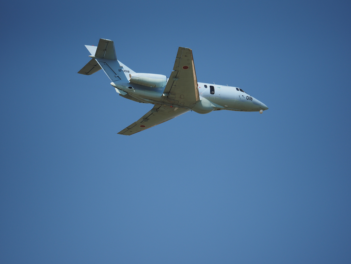 PA252030.jpg