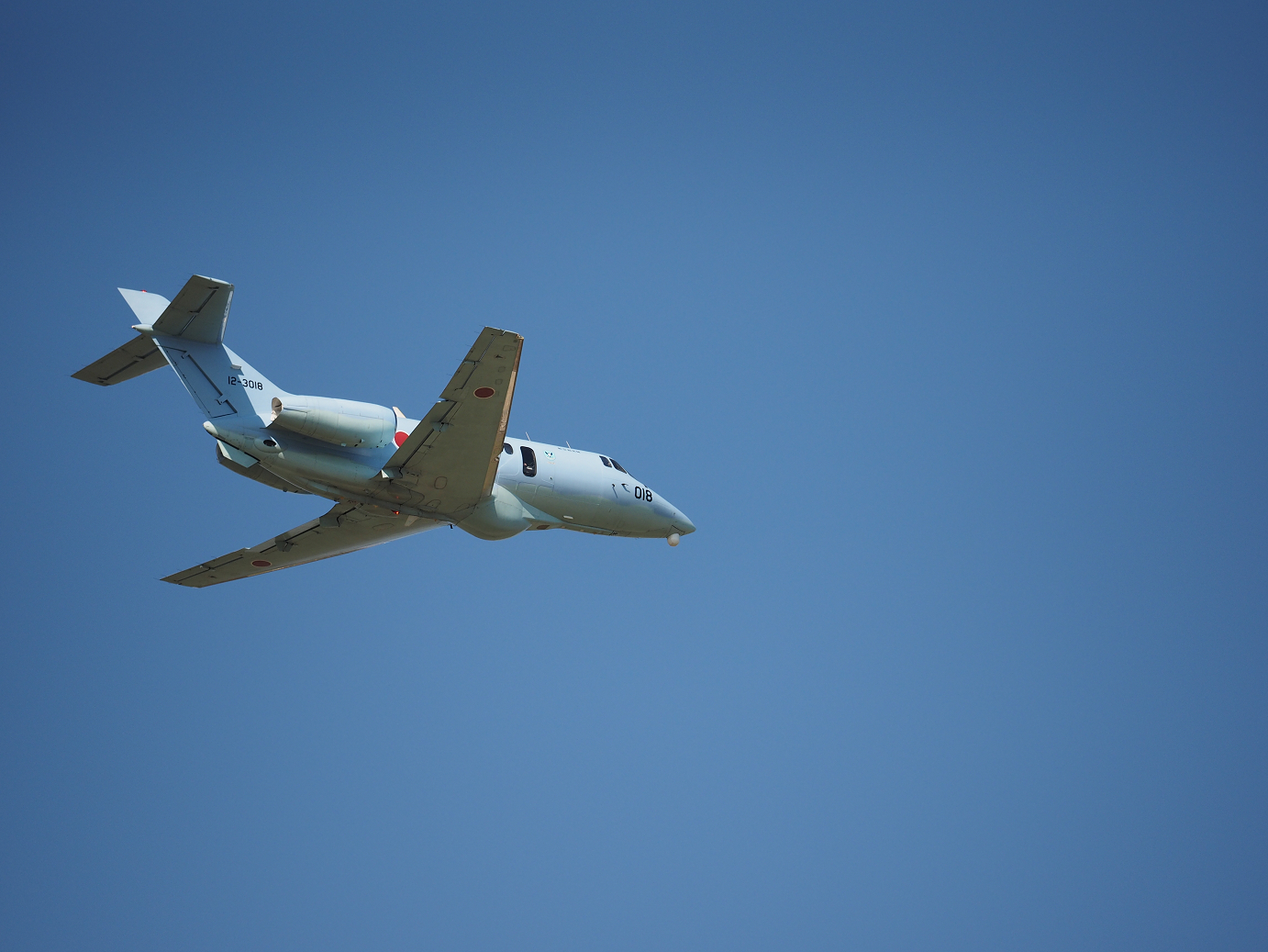 PA252035.jpg