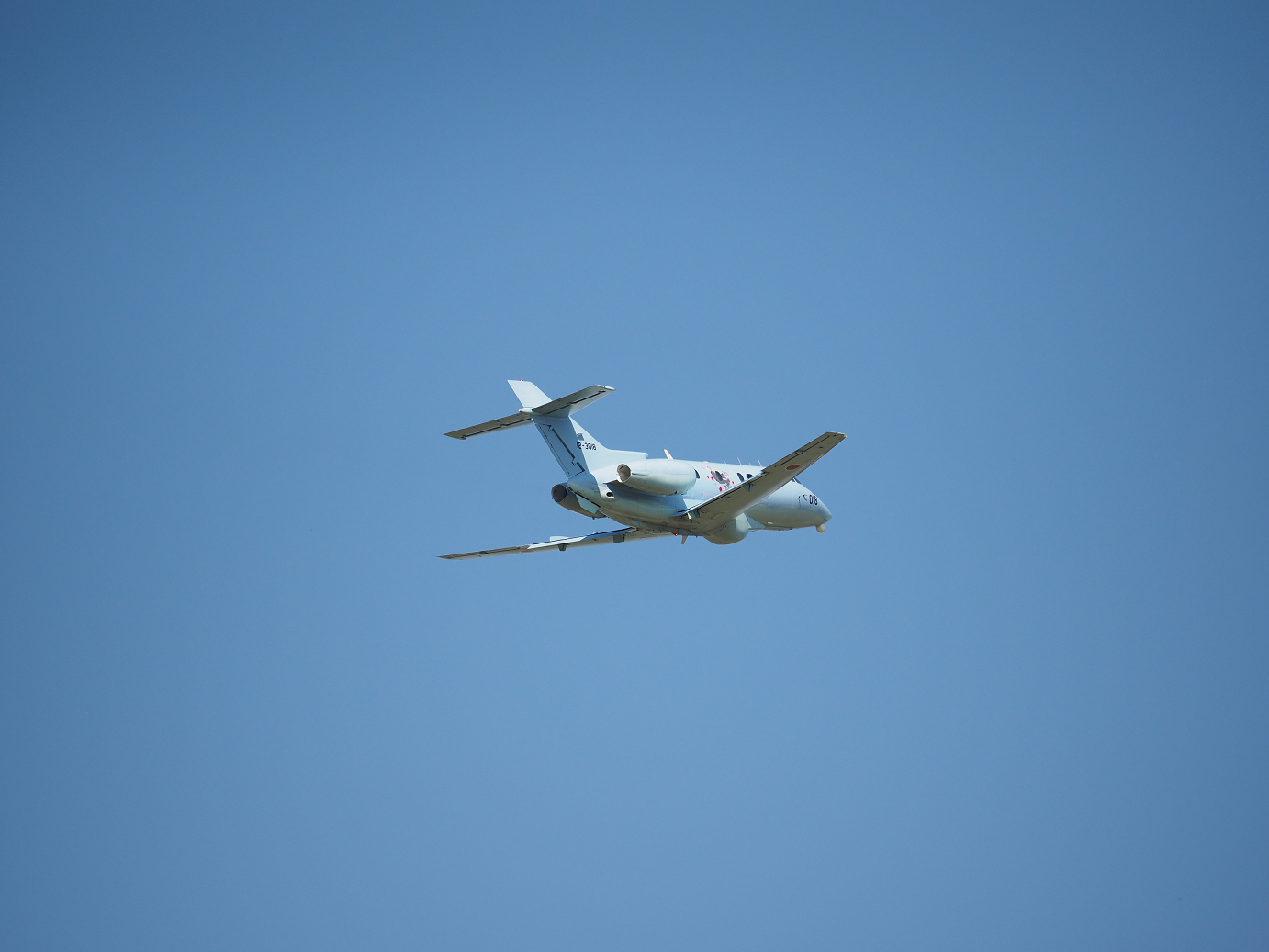 PA252038.jpg