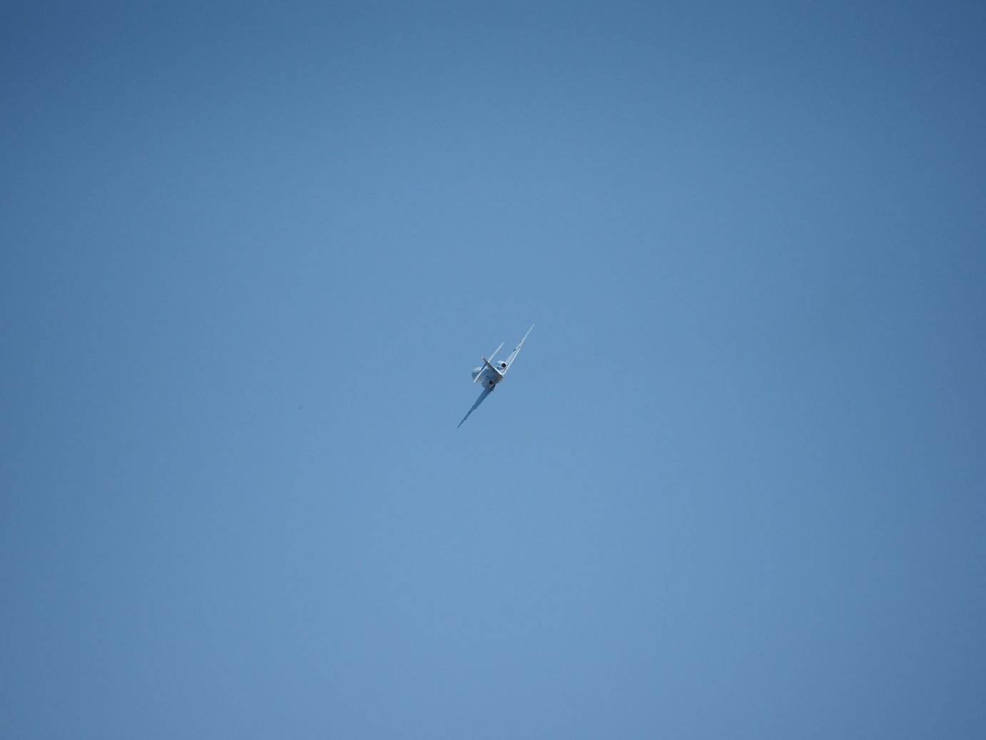 PA252045.jpg