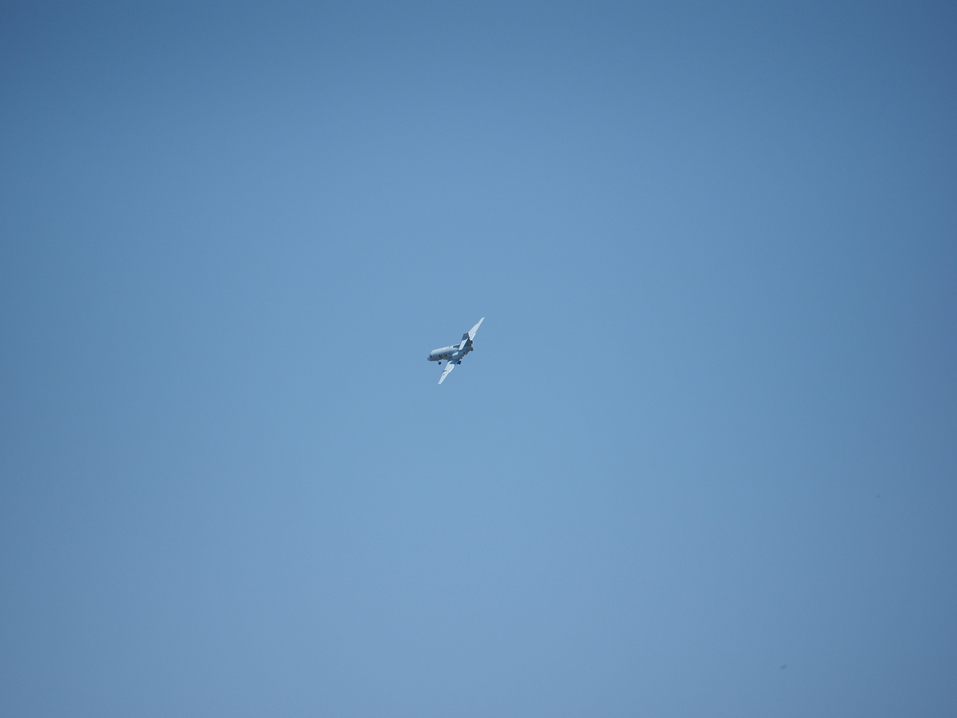 PA252048.jpg
