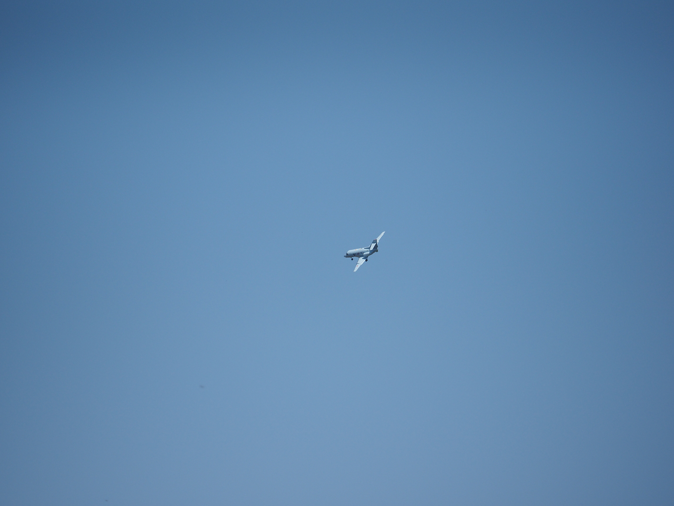 PA252054.jpg