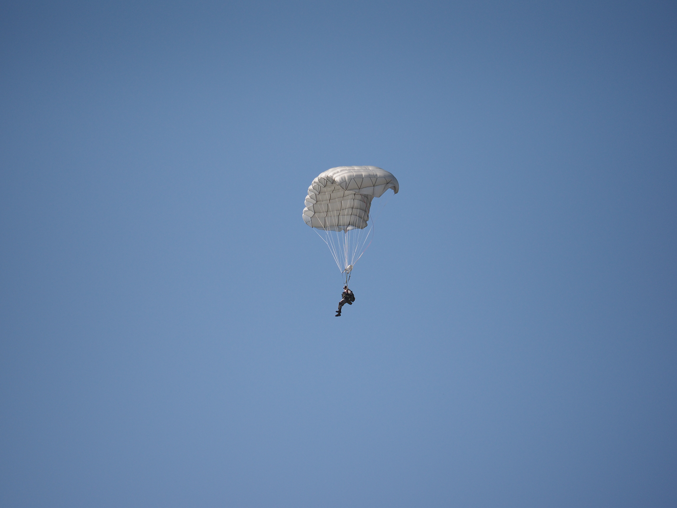 PA252120.jpg