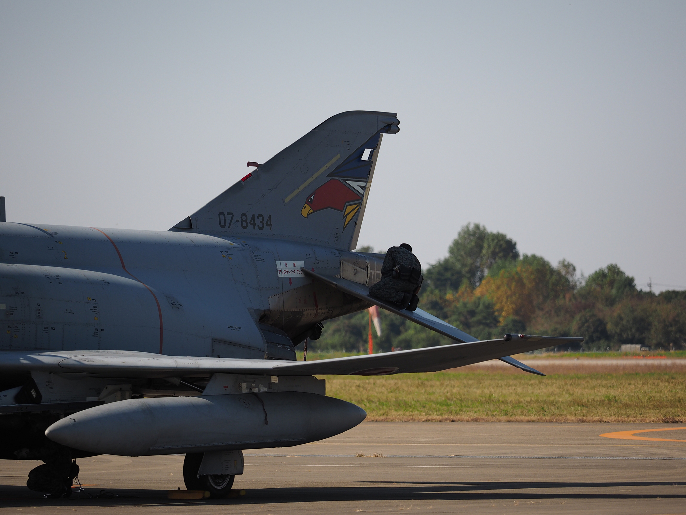 PA252182.jpg