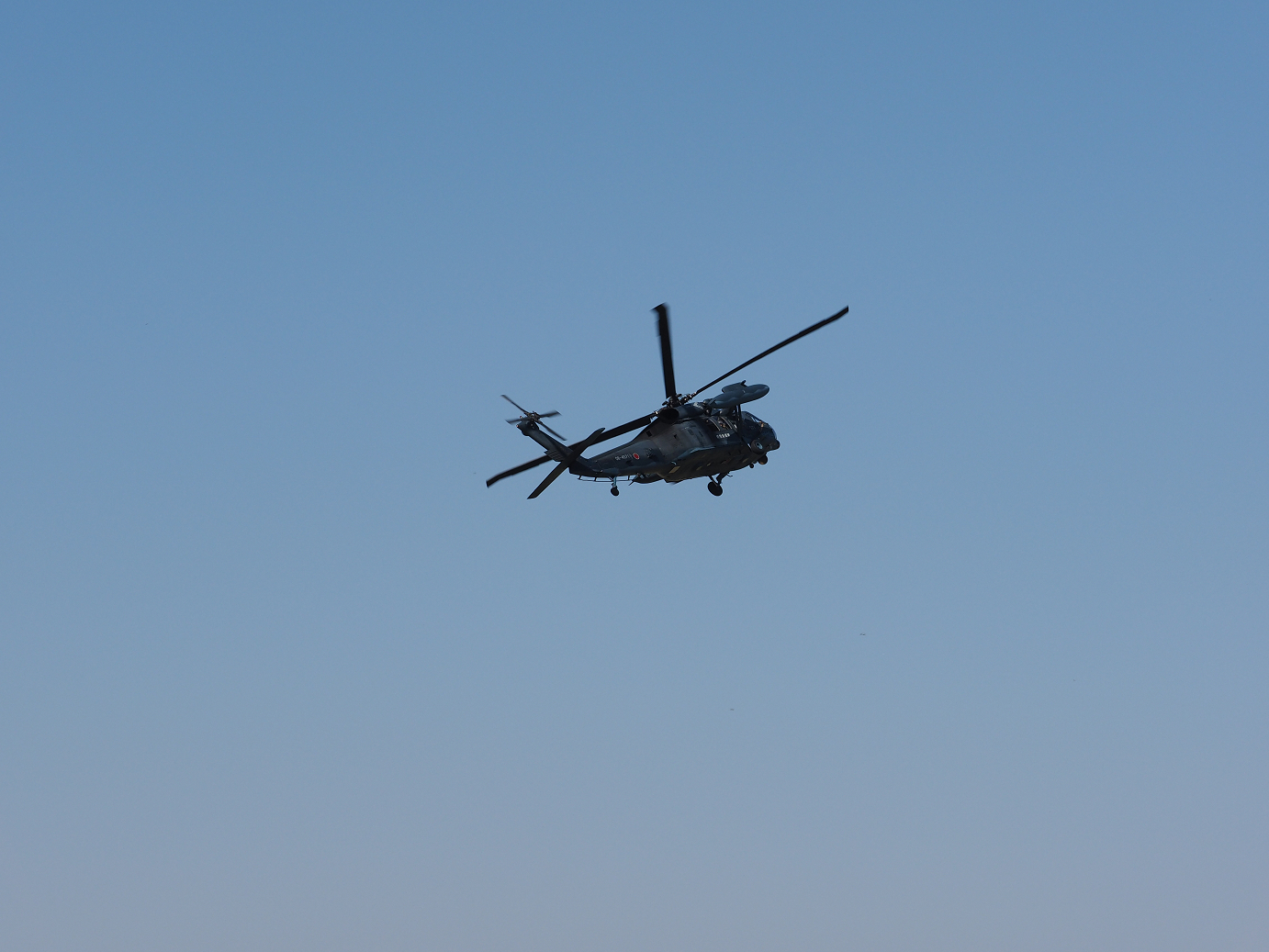 PA252215.jpg