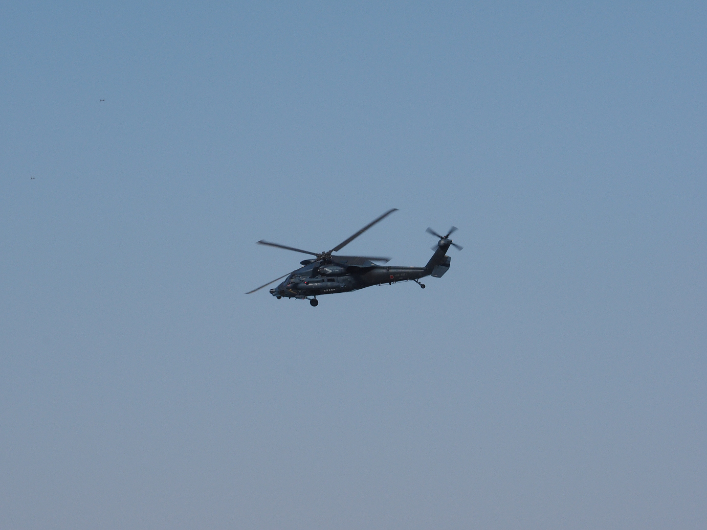 PA252224.jpg